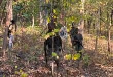 IMG 20250912 120723 1