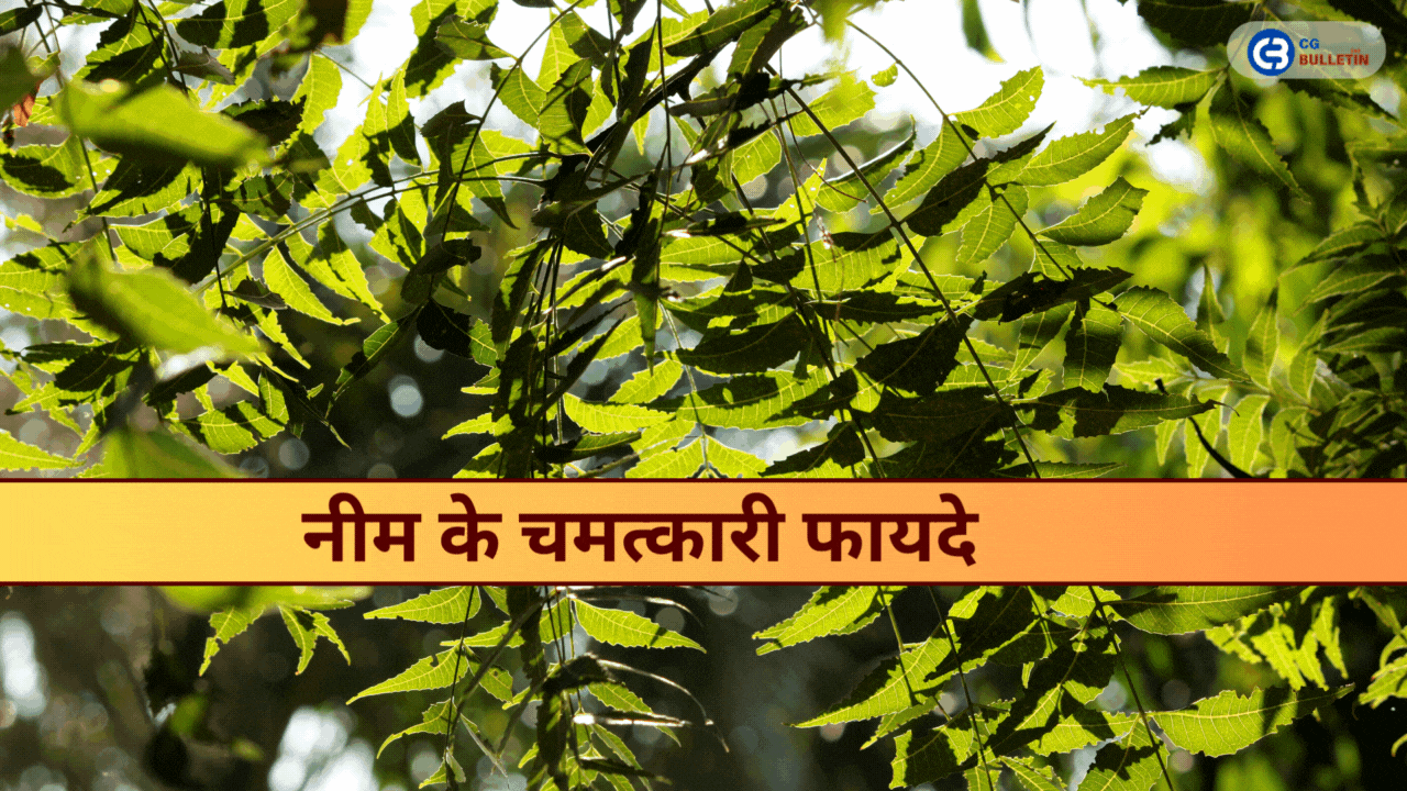 Red Bold Finance YouTube Thumbnail