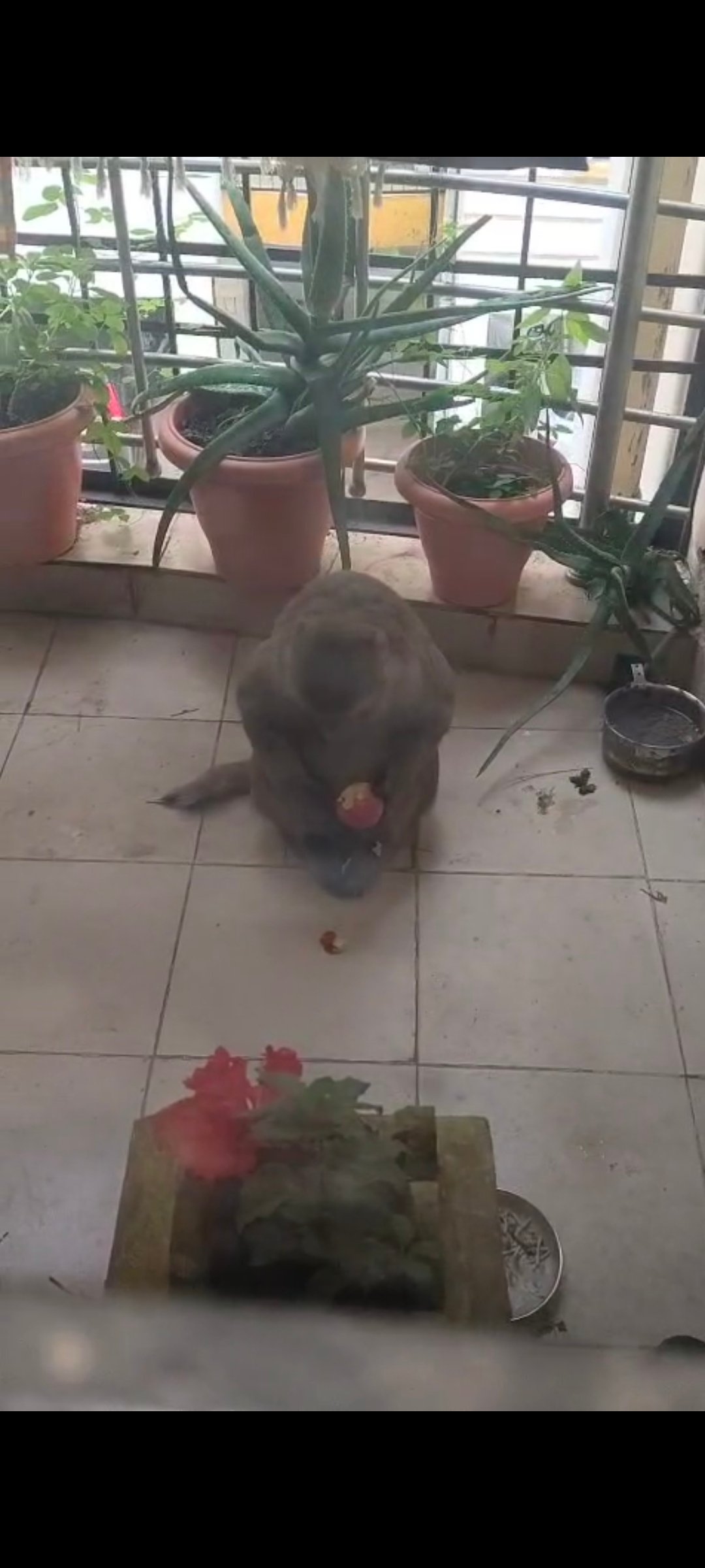 Screenshot 20250907 153651