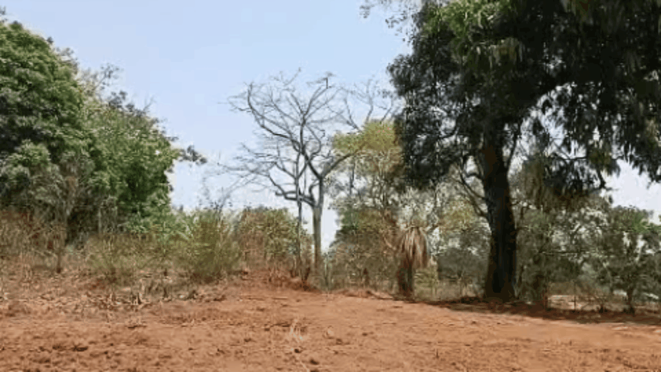 वक्त कानून पर सुप्रीम कोर्ट का बड़ा फसला 20250923 121829 0001