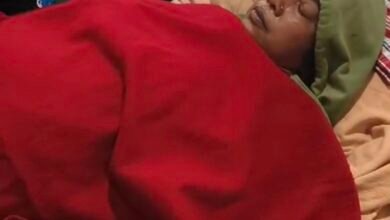 IMG 20251230 160125 1