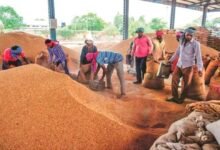 किसानों को बड़ी राहत: CM साय के निर्देश पर धान खरीदी के लिए दो अतिरिक्त दिवस 5 IMG 20260112 194401