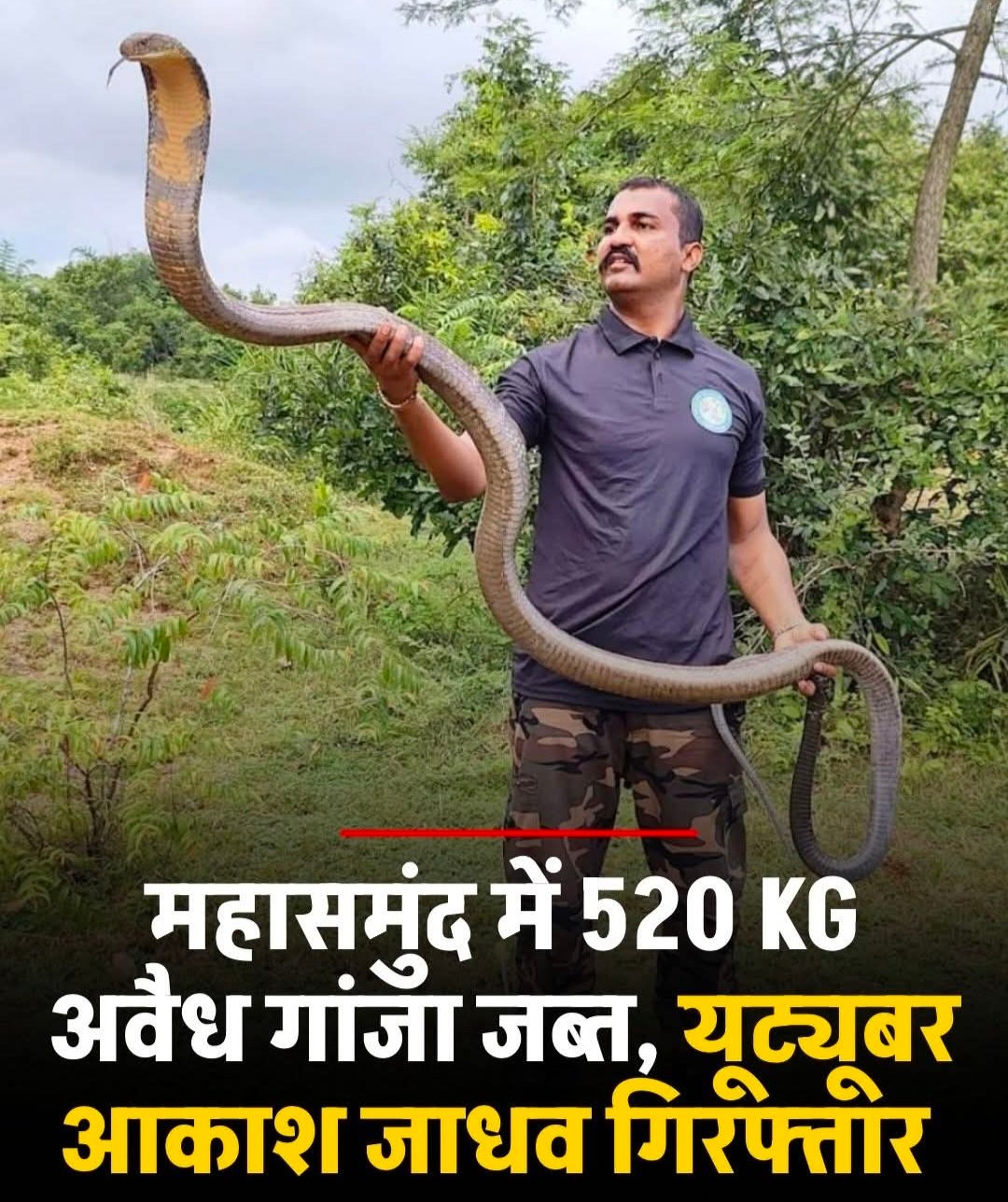 ‘सर्पमित्र’ निकला गांजा तस्करी का सरगना, महासमुंद में 520 किलो अवैध गांजा जब्त 1 IMG 20260130 165814