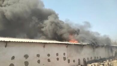 बिलासपुर ब्रेकिंग: तिफरा इंडस्ट्रियल एरिया में पेंट पुट्टी फैक्ट्री में भीषण आग, पूरी फैक्ट्री जलकर खाक 1 IMG 20260216 145542