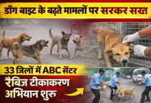 file 0000000037fc71faa662376f861a198e