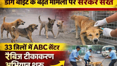 file 0000000037fc71faa662376f861a198e