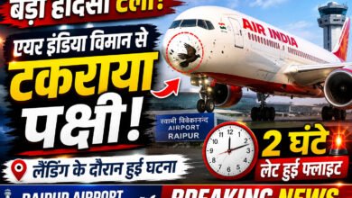 Raipur Airport BirdHit: एयरपोर्ट पर एयर इंडिया विमान से टकराया पक्षी, टला बड़ा हादसा 7 file 00000000816c7208857136ae294e221b 1