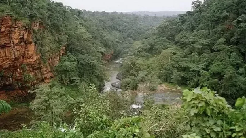 1005304709