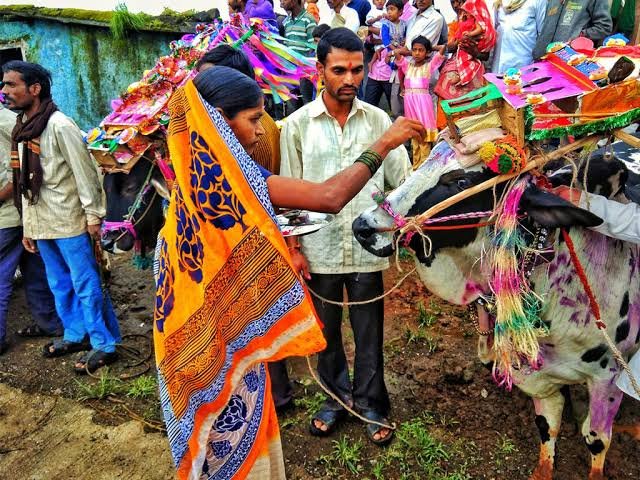 छत्तीसगढ़ में हर्षोल्लास से मनाया जा रहा पोला पर्व, सजे बैल, गांवों में उत्सव के रंग; छत्तीसगढ़ में परंपरा और आस्था का अनूठा संगम 1 IMG 20260910 WA00101
