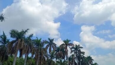 Chhattisgarh Weather: छत्तीसगढ़ में फिर बदलेगा मौसम, 21 सितंबर को भारी बारिश के आसार; समुद्र में बन रहा सिस्टम 1 hindi news fd782196ac73a8d4bf227c54ca1ce160 1