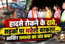 Raipur: सांड ने मचाया आतंक, कांग्रेस नेता समेत 15 घायल; गोद में बच्चा लेकर जा रहे बुजुर्ग को पटका 2 1005561397